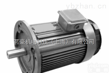 YP  YP<em>森力</em>玛变频<em>电机</em>
