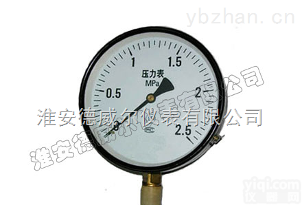 Y-100  Y-100B<em>德威尔</em>普通<em>压力表</em>