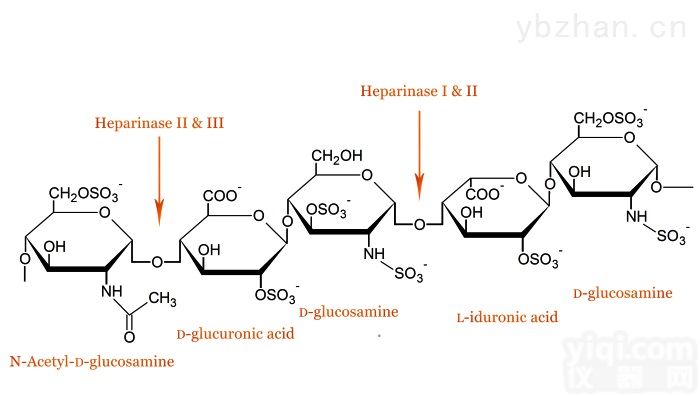 AG00-8891  <em>肝素</em>酶<em>III</em>（<em>Heparinase</em> <em>III</em>），来自<em>肝素</em>黄杆菌