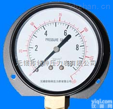 带边耐振<em>压力表</em>|<em>径向</em>前边<em>压力表</em>|<em>径向</em>后边<em>压力表</em>|<em>压力表</em>外形尺寸