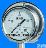 带边防震<em>压力表</em>|<em>径向</em>前边<em>压力表</em>|<em>径向</em>后边<em>压力表</em>|<em>压力表</em>规格