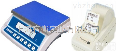带打印功能电子秤，带打印电子台秤，带打印电子桌称