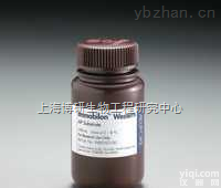 <em>柴胡</em>皂苷B1,CAS：<em>58558</em>-08-0