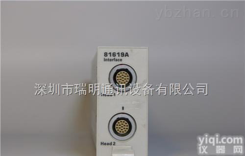 <em>81619A  81619A</em>