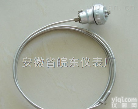 www.<em>tcwdyb</em>.com  铠装<em>热电偶</em>WRNK-<em>131</em>/WRNK-231