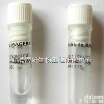纤维连接蛋白<em>抗体</em>,Anti-<em>Fibronectin</em>品质保证
