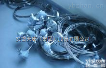 双支铠装<em>热电阻</em>WZPK2-435 <em>安徽</em>天康