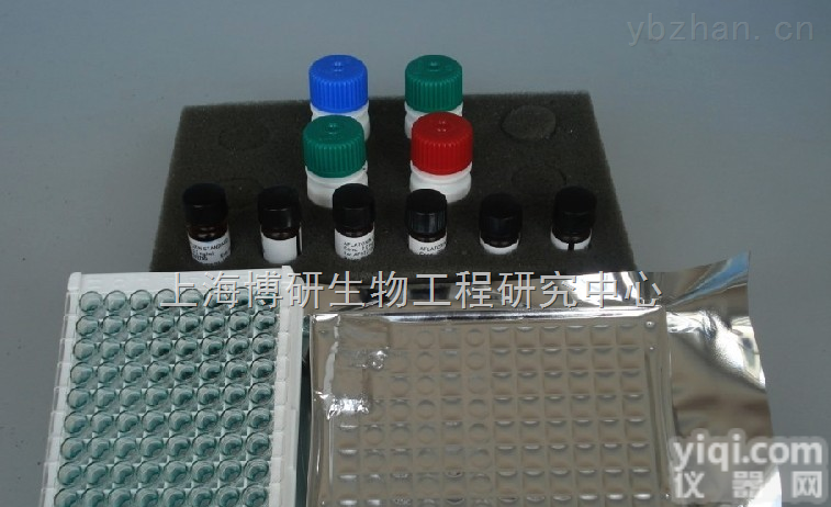<em>现货供应</em>-大鼠抗<em>子宫</em>内膜<em>抗体</em>（EMAb）ELISA KIT