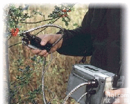 JC11-YGFMS2  便携式调制<em>叶绿素</em><em>荧光</em>仪 <em>叶绿素</em>调制<em>荧光</em>仪 <em>叶绿素</em><em>荧光</em>测试仪