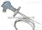 <em>WRNK-230D  多点热电偶</em>
