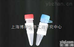 Anti-PARP1<em>抗体</em>,多腺苷二磷酸多聚酶<em>抗体</em>/多聚ADP-核糖聚合酶1<em>抗体</em>产品<em>咨询</em>