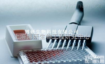 Anti-<em>RAD51C</em><em>抗体</em>,乳腺癌和<em>卵巢癌</em>易感基因<em>RAD51C</em><em>抗体</em>直销