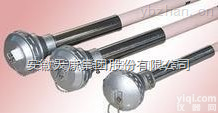 <em>WRR</em><em>装配式</em>R型<em>热电偶</em>