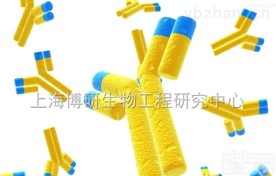 Anti-PROK1/PRK1/EG-VEGF<em>抗体</em>,<em>内分泌腺</em>衍生血管<em>内皮</em>生长因子<em>抗体</em>欢迎选购