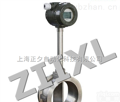 上海气体流量计  气体流量计