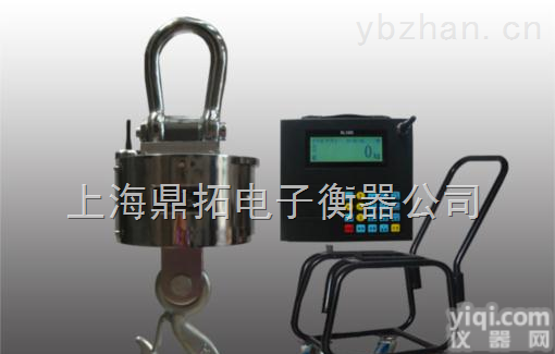 OCS  <em>德阳</em>航车<em>电子秤</em>,OCS报警<em>电子秤</em>,30T无线吊磅秤厂家