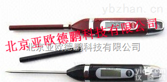 DP-106型  <em>插入式</em>温度计/<em>插入式</em>温<em>度仪</em>