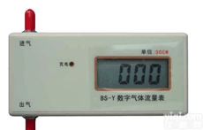 <em>BXS08-BS-Y  数字气体流量计 气体流量分析仪 数字气体流量测试仪</em>