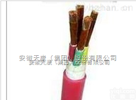 <em>铜芯低烟低卤聚氯乙烯绝缘和护套控制电缆</em>DLD-KVV