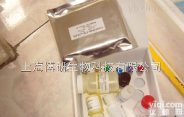人血管<em>内皮</em>细胞生长因子<em>受体</em>2（VEGFR-2）ELISA<em>试剂盒</em>生产厂家
