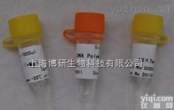 Anti-KLRF2<em>抗体</em>,杀伤细胞<em>凝集</em>素样<em>受体</em>F2<em>抗体</em>厂家