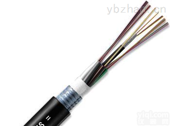 GYTS  GYTS多芯<em>光缆</em>怎么卖多少钱一米<em>哪里</em>买到