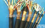 <em>仪表用控制电缆、数字巡回检测装置用屏蔽电缆</em>
