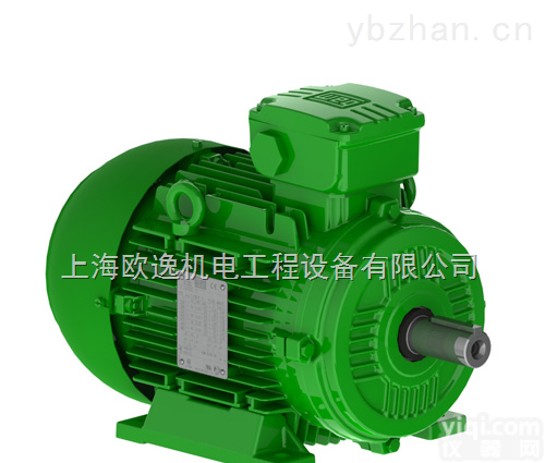 <em>德国WEG电机</em>