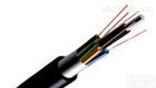 GYXTS-8B1-9/125  单模8芯室外<em>光缆</em><em>安徽</em><em>天康</em>洲鸽<em>光缆</em>