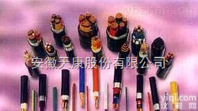 供应DJGGP/DJF4HP2/高温防腐<em>耐油</em>计算机<em>电缆</em>/安徽<em>天康</em>股份有限公司