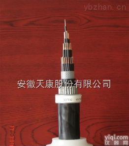 供应<em>天康</em>PaiZR-KVVP32,ZR-KVV32钢丝铠装<em>控制电缆</em>,<em>安徽</em><em>天康</em>股份有限公司,
