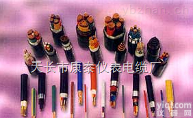 <em>变频器</em>用主<em>回路</em><em>电力电缆</em>,洲鸽Pai电缆产品