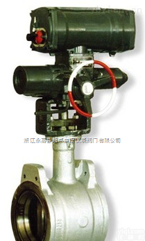 <em>ZDR-35002  ZDR-35002系列电动偏心旋转调节阀</em>