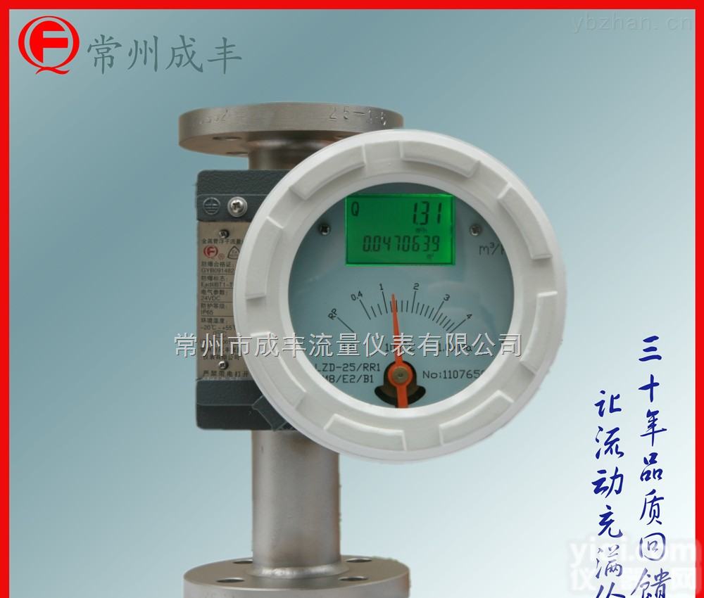 LZD-25/RR1/M8/E2/B1  <em>隔爆型</em>金属浮子<em>流量计</em>常州厂家直销，知名品Pai成丰仪表金属管<em>转子</em><em>流量计</em>专业生产