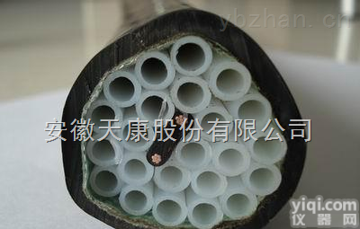 天康Pai伴热<em>采样</em>管自控温伴热<em>采样</em>管 环保用分析防腐<em>采样</em>伴热<em>复合管</em>