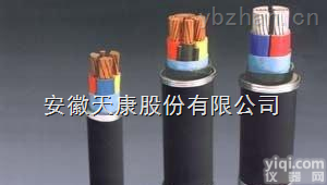 WDZ-FSY-<em>YJY</em>  供应安徽<em>天康</em>Pai交联聚乙烯绝缘无卤低烟阻燃防鼠防白蚁<em>电力电缆</em>