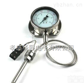 PT166  PT166<em>指针式</em>高温熔体<em>压力表</em>