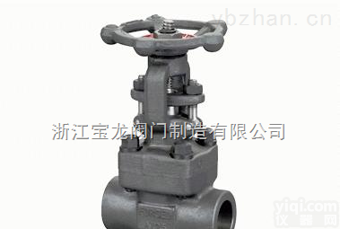 Z61Y锻钢<em>闸阀</em>-Z41H<em>国标</em><em>闸阀</em>-宝龙阀门