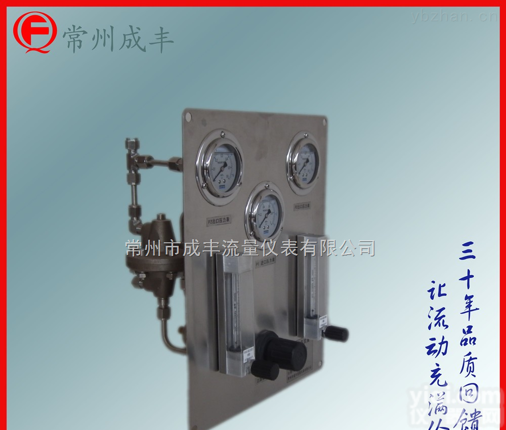 LZB-4DK/2/M/RA/8P  双路吹扫装置知名品Pai【成丰仪表】专业选型 厂家直销双表式<em>稳压</em>阀 进<em>出口</em>压力调节