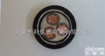 DJVVP  （计算机<em>电缆</em>DJVVP）（力宝<em>石油</em>）（青海）