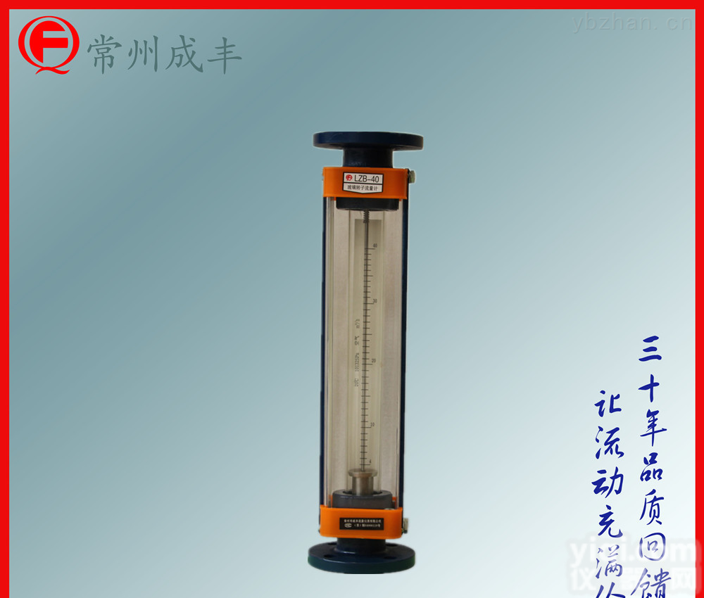 LZB-40  【<em>常州</em>成丰】玻璃转子<em>流量计</em>厂家，<em>国产</em>品PaiLZB系列价格好质量服务优