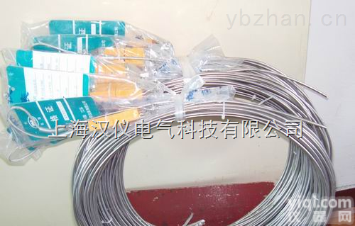 汉仪<em>铠装插头热电偶</em>