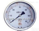 耐温<em>耐震</em>压力表（图文）【安徽<em>布莱迪</em>】* 厂家价格|报价