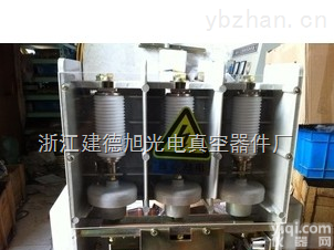 JCZ1-250A/12KV  JCZ1-250A/12KV 单级高压真空接触器 电保持