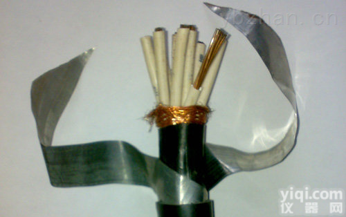 ZR-KVVP22  <em>阻燃</em>【<em>铠装</em>】<em>控制电缆</em> 天康屏蔽电缆