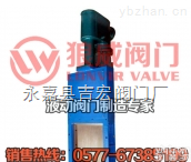 <em>电液</em>动<em>螺旋</em><em>闸门</em>