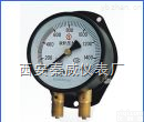 双针双管压力表,YZS-102双针压力表