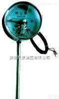 <em>安徽</em><em>天康</em>双金属<em>温度计</em>