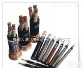 安徽天康CXF-90<em>丁苯</em>绝缘氯丁内护套祼钢丝编织装铠<em>船用</em><em>电力电缆</em>