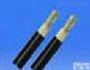 70℃电机绕组引接软电缆（电线）厂家供应